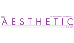 The Aesthetic Guide Supplement