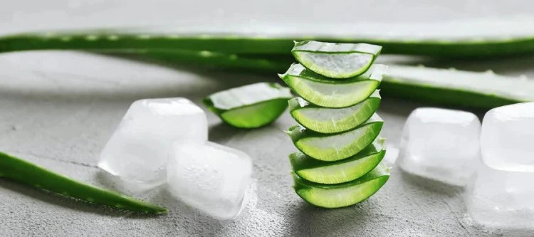 Stack of cut aloe with ice cubes nearby