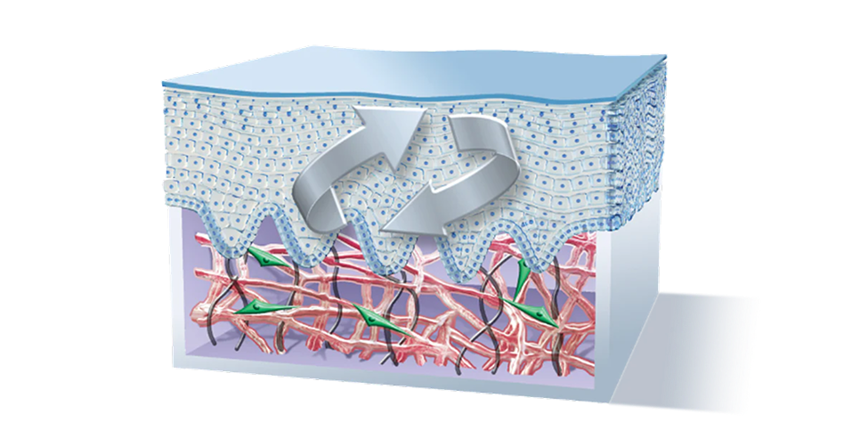Trihex Technology Remove, Rebuild, & Replenish with TriHex Technology® | Alastin USA